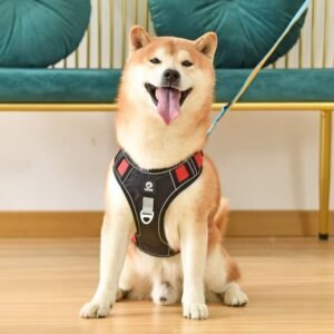 No-Pull Tactical Dog Harness with Leash