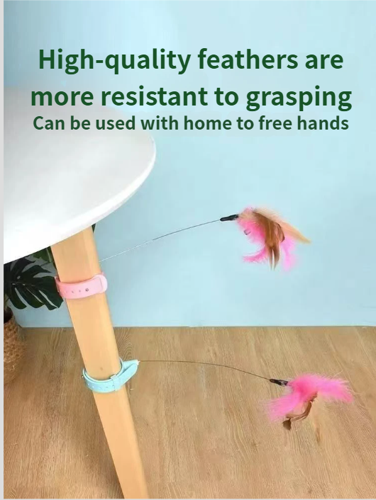 Free your hands, cat toy, self fun, cat boredom relief tool, hanging neck, feather wire
