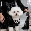 Pet Formal Dress & Tuxedo Outfit – Elegant Cat Dog Costume with Bow