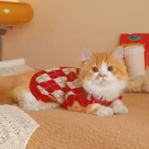 微信图片_20260106111027_26_26 European Style Knitted Pet Sweater – Cozy Winter Clothing for Cats and Small Dogs