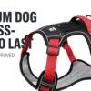 No-Pull Tactical Dog Harness with Leash