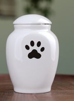 Heart & Paw™ Dog Remembrance Box