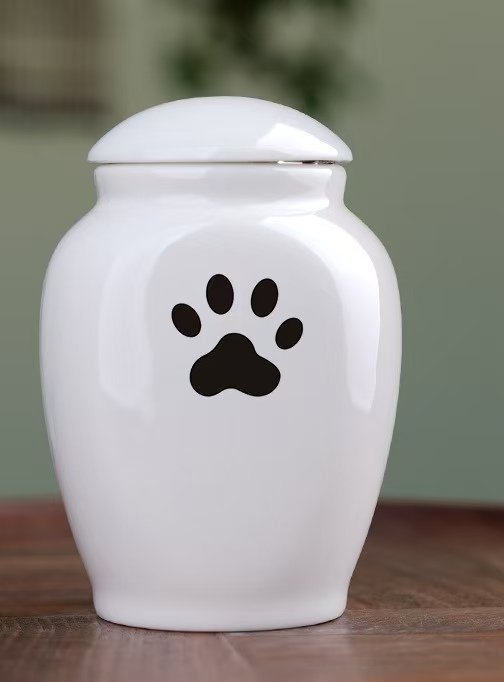 Heart & Paw™ Dog Remembrance Box