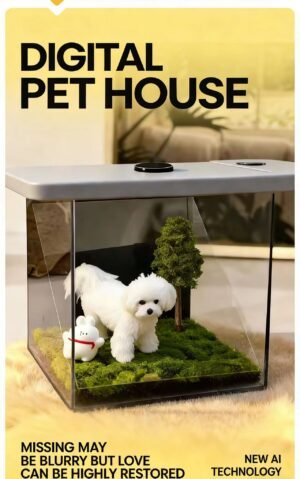 Pet Digital Eternal Box